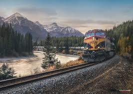 Résultat de recherche d'images pour "morant's curve"