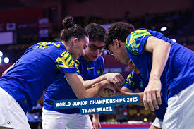 Image result for Bal Sewa Junior Badminton Club