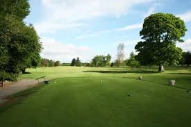 Image result for Carlow Golf Club
