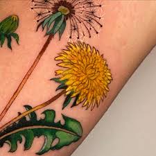 Image result for diente de leon