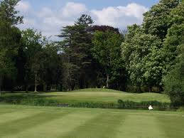 Image result for Richings Park Sports Club Limited