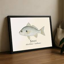 Image result for Leiostomus xanthurus