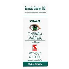 Image result for Cineraria maritima