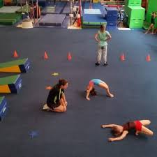 Image result for Vernon Park Gymnastics