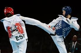 Image result for Crown Tae Kwon Do