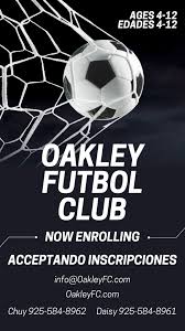 Image result for Ockley Acorns Junior F C