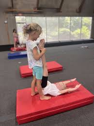 Image result for flip and twist