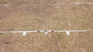 Image result for Kirkstall Educational Cricket Club