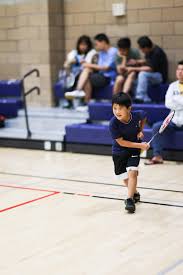 Image result for Gb Landscapes Badminton Club