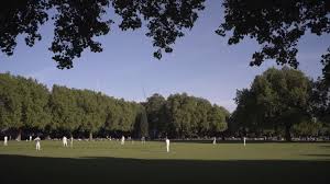 Image result for London Fields Cricket Club