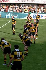 Image result for Wasps Football Club