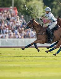 Image result for Woolmers Park Polo Club