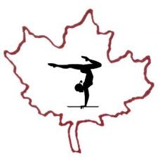 Image result for Maple Gymnastics Club