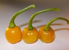 Afbeeldingsresultaat voor hungarian sweet apple sweet pepper