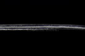 Image result for human hair microscope image