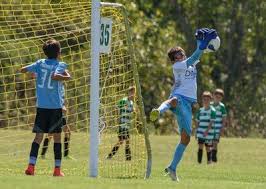 Image result for Pegasus (Sevenoaks) Badminton Club