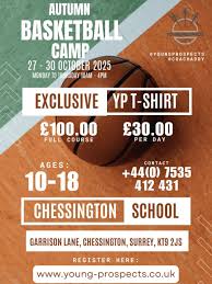 Image result for Kingston Wildcats Basketball Club