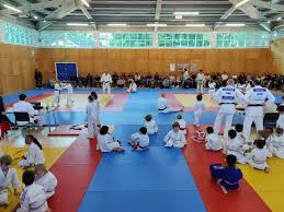 Image result for Croydon Judo Club