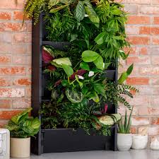 Image result for living wall