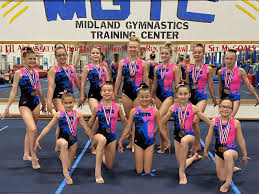 Image result for Angmering Gymnastics