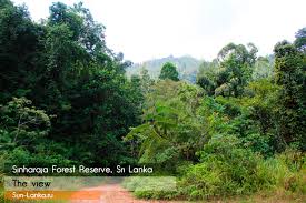 Image result for синхараджа