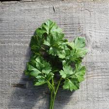 Image result for Petersilie