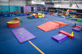 Image result for Pinewood Gymnastics Club