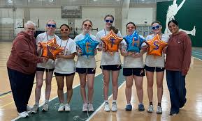 Image result for Addison Exiles Badminton Club
