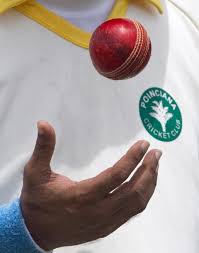 Image result for Haughton Cricket Club