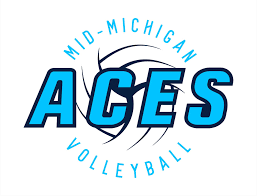 Image result for Reading Aces Volleyball Club