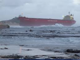 Image result for Pasha bulker
