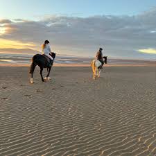 Image result for Fisher Equestrian
