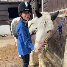 Image result for Shey Copse Riding Centre
