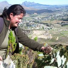 Image result for van vuuren theron