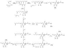 Attēlu rezultāti vaicājumam “Stemonitopsis hyperopta var. landewaldii macro”