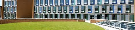 Image result for University Of Sussex