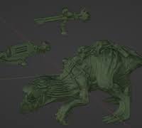 Image result for gnaar