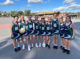 Image result for Fife Phantoms Netball Club
