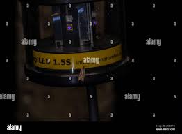 Attēlu rezultāti vaicājumam “Ancylis apicella”