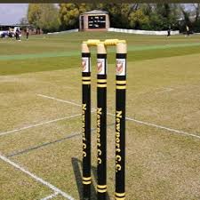 Image result for Newport (Salop) Cricket Club