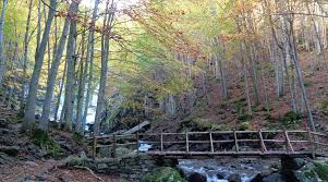 Image result for cascate del dardagna