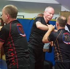 Image result for Midlands Wing Chun