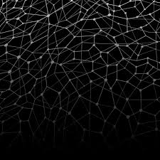 Image result for web patterns