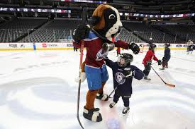 Image result for Ash Avalanche Skater Hockey Club