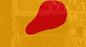 Attēlu rezultāti vaicājumam “Diderma rufostriatum young”