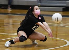 Image result for Reading Aces Volleyball Club