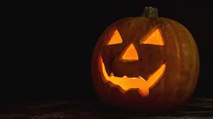 Image result for Kürbis