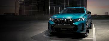 Image result for BMW X6