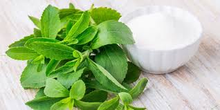Image result for Stevia rebaudiana