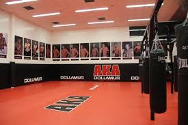 Image result for American Kick Boxing Club